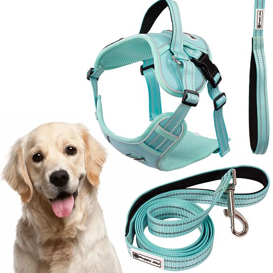 Dog Leash and Harness PJ-065 Green XL