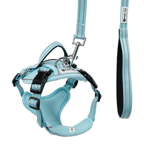Dog Leash and Harness PJ-066 Blue XL