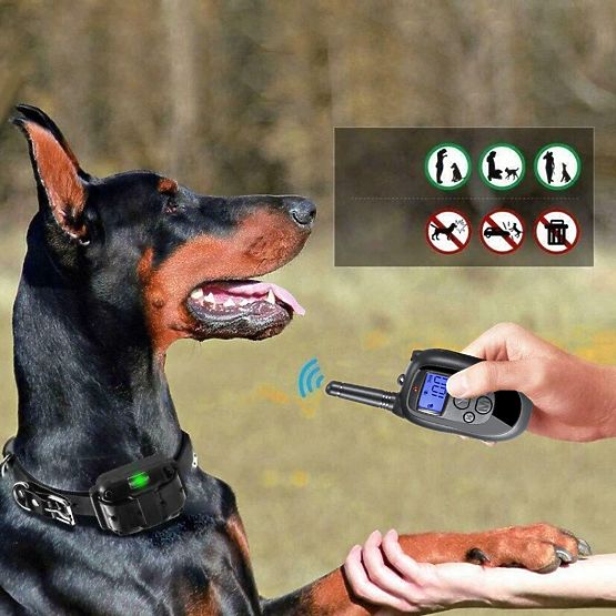 ELECTRIC TRAINING COLLAR FOR DOG pj-098