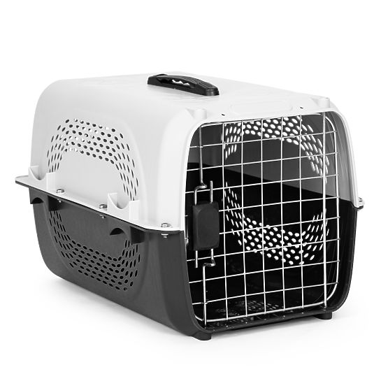 Large Transport Box for Cats and Dogs