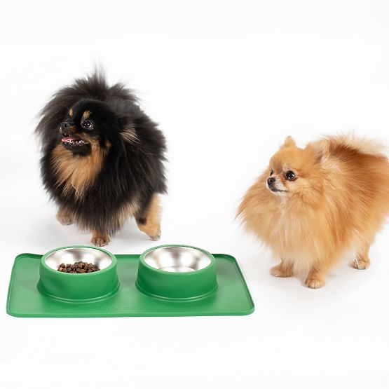 Metal Bowls for Dogs or Cats with Non-Slip Mat Green PJ-087