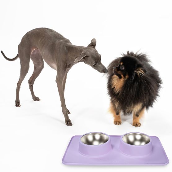 Metal Bowls for Dogs or Cats with Non-Slip Mat Purple PJ-088
