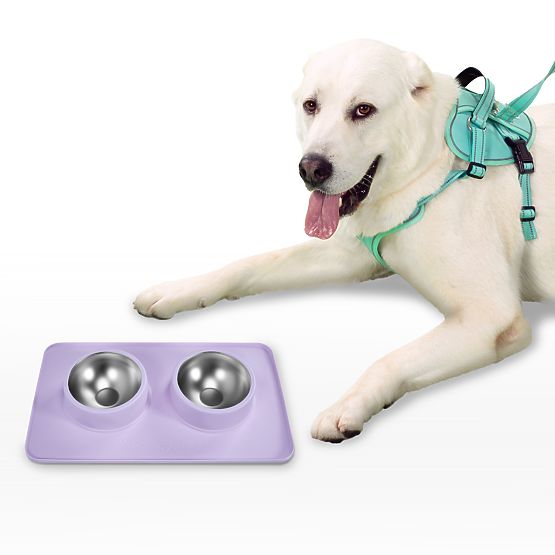 Metal Bowls for Dogs or Cats with Non-Slip Mat Purple PJ-088