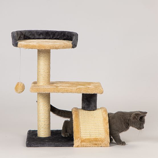 Multi-Level Cat Scratching Post with Bed and Hanging Toy