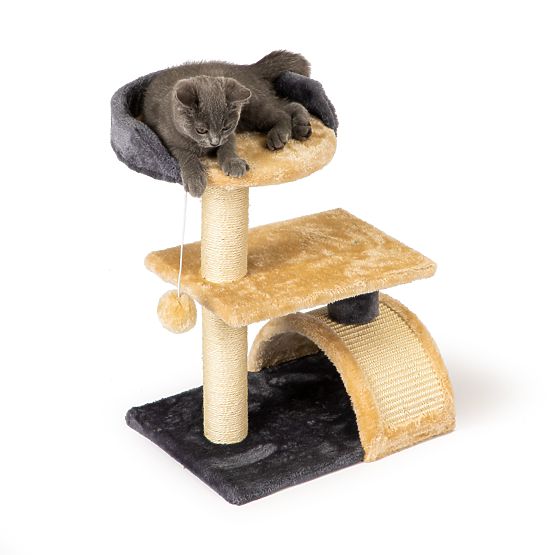 Multi-Level Cat Scratching Post with Bed and Hanging Toy