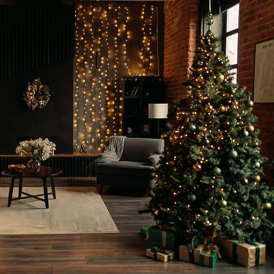 Outdoor Curtain 304 LED with Remote Control