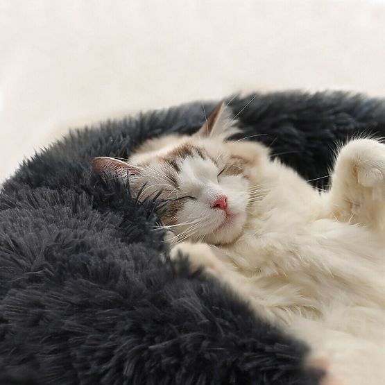 PET BED FOR DOG CAT PJ-003 DARK GRAY M