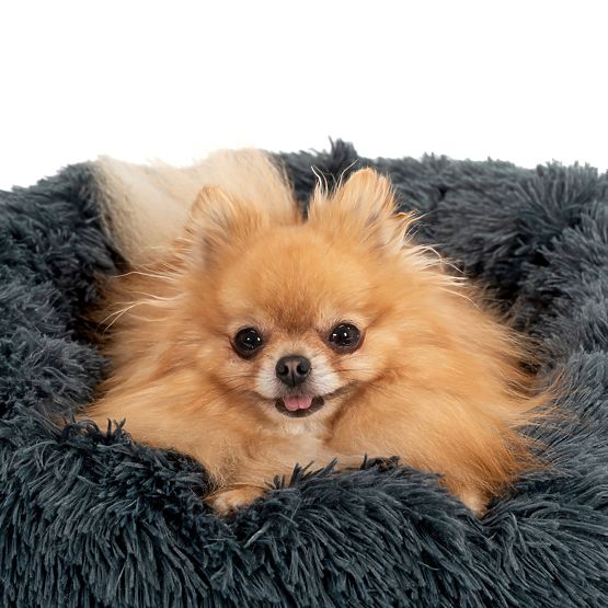 PET BED FOR DOG CAT PJ-003 DARK GRAY M