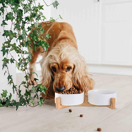 PET FOOD AND WATER BOWL WHITE 331579