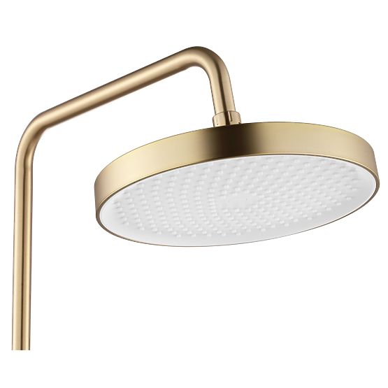 Rea Veneta Brushed Gold Shower Set