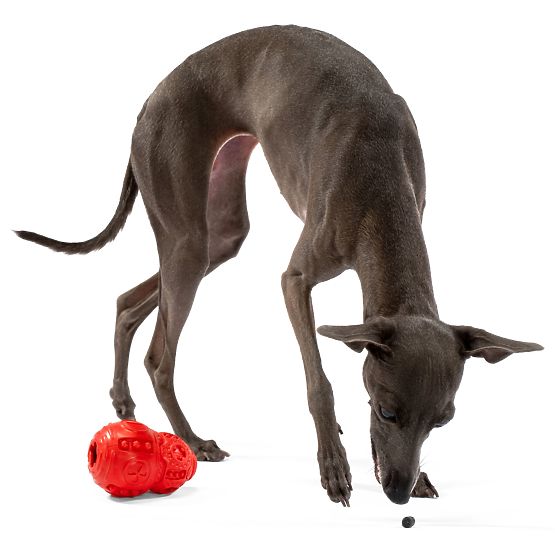 Red Chew Ball for Dogs PJ-046
