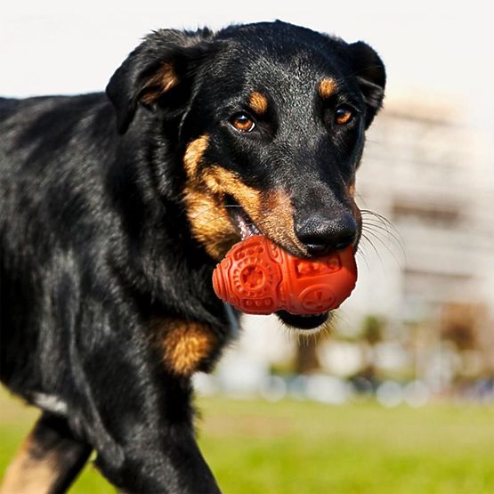Red Chew Ball for Dogs PJ-046