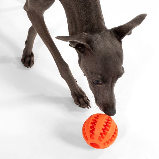 Red Chew Ball for Dogs PJ-090