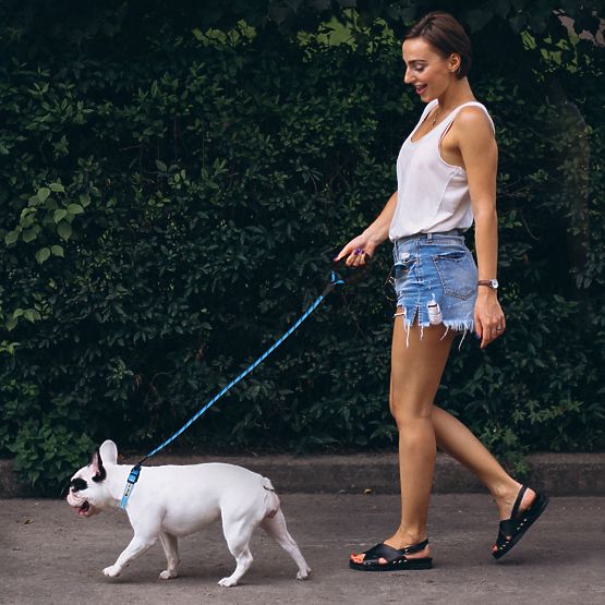 Reflective Leash and Collar for Dog PJ-037 Blue