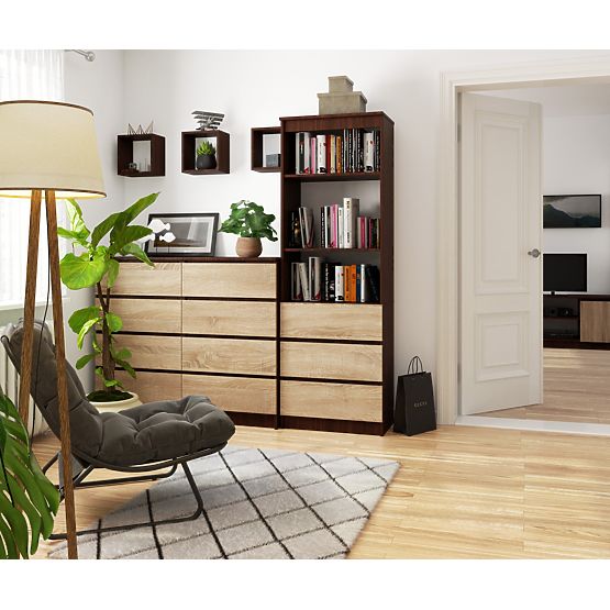 SHELF R60 3DR 2S CLP WENGE / SONOMA