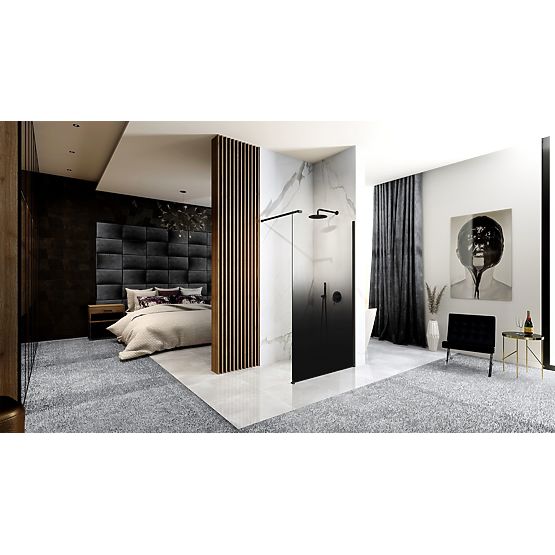 Shower Screen Rea Aero Ombre Black 110