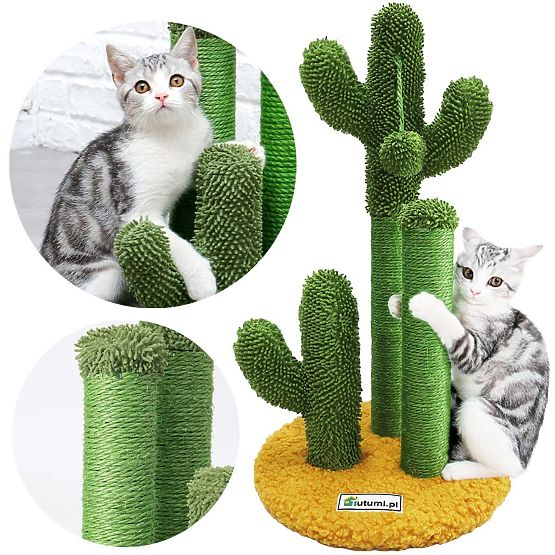 Small Cat Scratching Post - Cactus