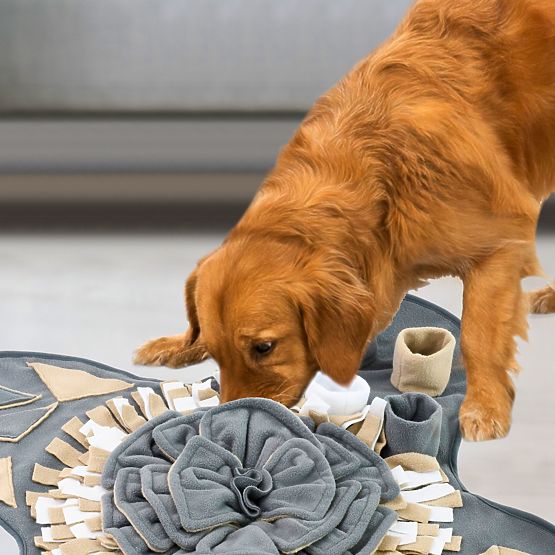 SNIFFING MAT FOR DOGS PJ-028