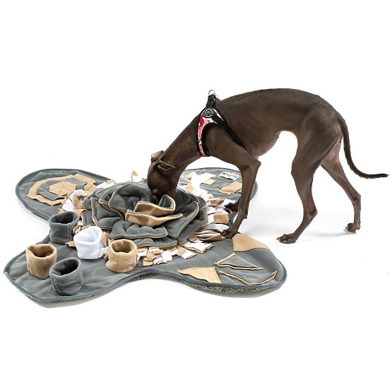 SNIFFING MAT FOR DOGS PJ-028