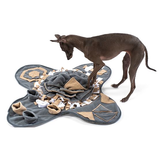 SNIFFING MAT FOR DOGS PJ-028