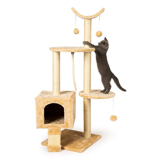 Tower cat scratching post and climbing frame