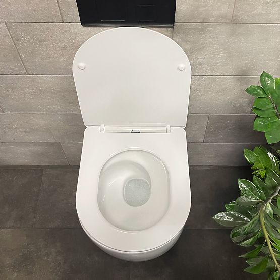 Wall-Hung Toilet Bowl Eddy N Tornado