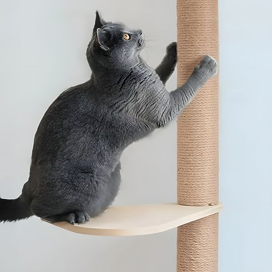 WALL-MOUNTED CAT SCRATCHER P70509