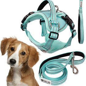 Dog Leash and Harness PJ-057 Green M