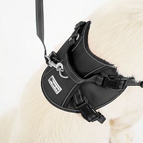 Dog Leash and Harness PJ-059 Black L, PuppyJoy