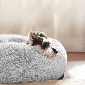 PET BED FOR DOG CAT PJ-015 LIGHT GRAY XL, PuppyJoy