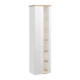 Tall Cabinet with 2 Doors